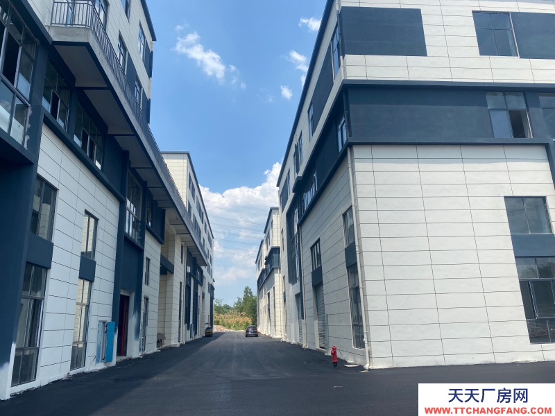 1366m2高標準工業廠房。低價現房。價格可面議。