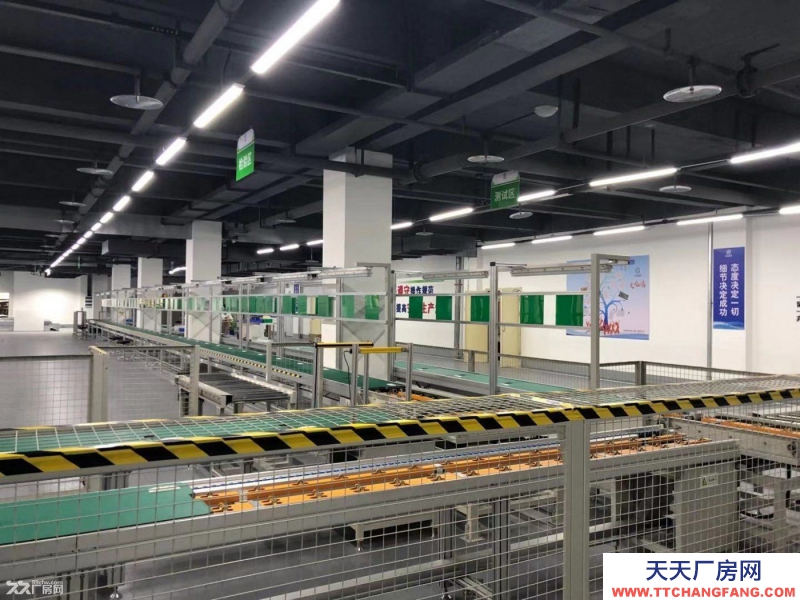 1005m2急售,獨棟、雙拼或分層高標準工業廠房。低價現房。搶到就是賺到。