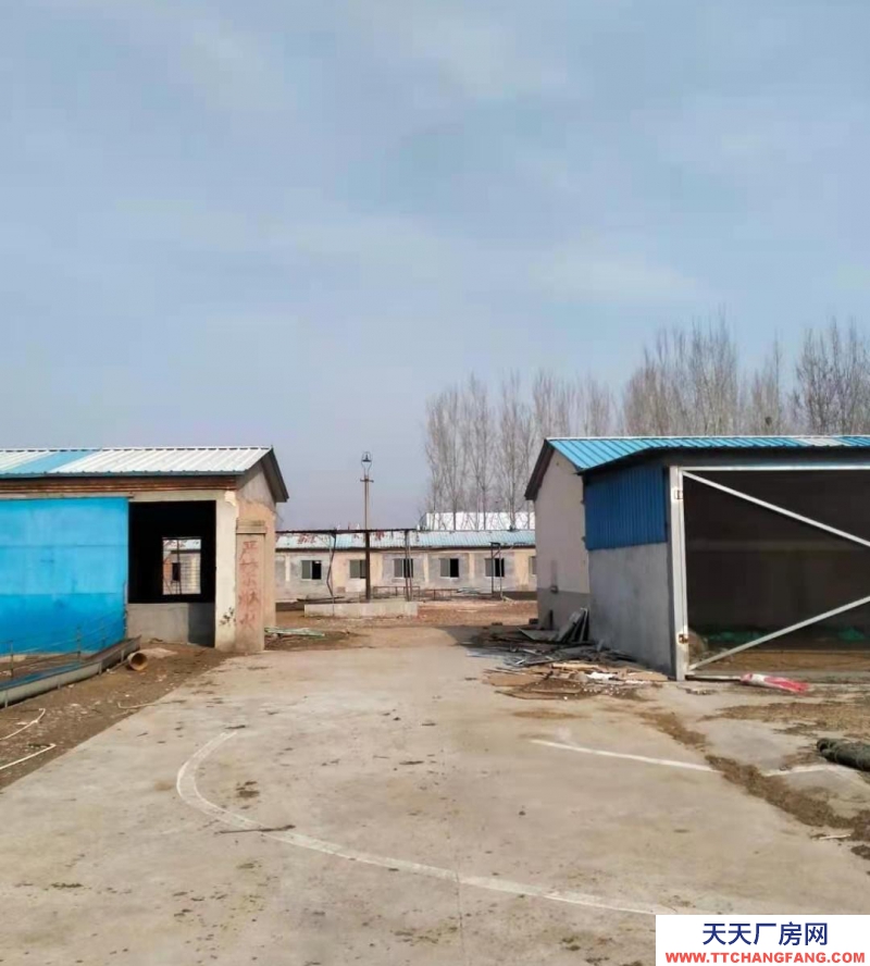 泰安東平廠房出售，出租價格電話聯系