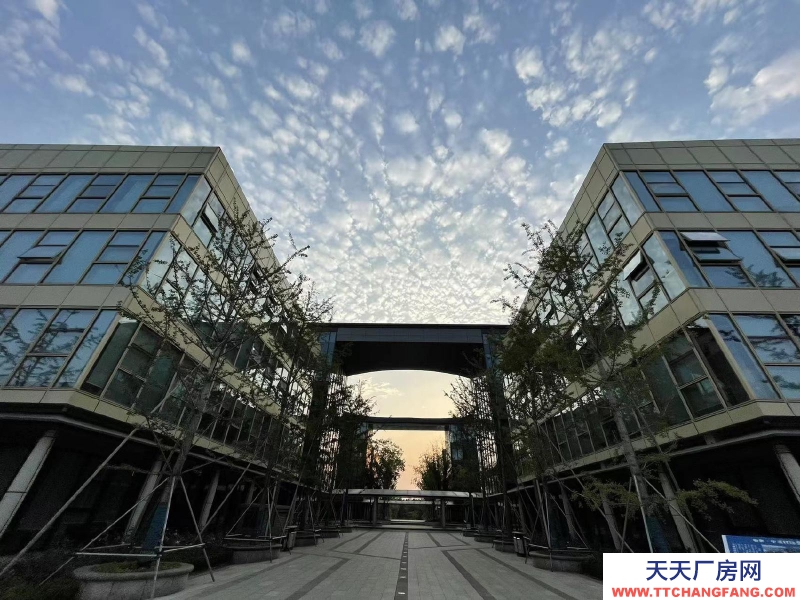 泰安新泰價(jià)格面議，可免房租，獨(dú)立辦公樓