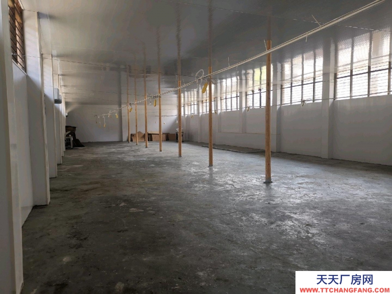溫州泰順(出租) 新裝修1000平獨(dú)門獨(dú)戶廠房