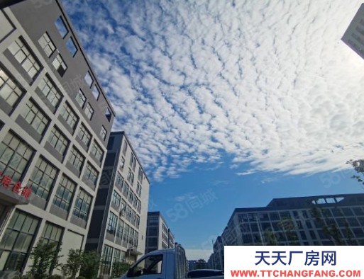 溫州泰順(出售) 麗水14畝。，車間8500平。獨門獨院