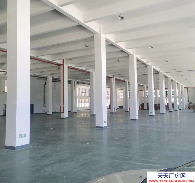 溫州瑞安(出租) 東山 12000標準廠房 5噸貨梯 帶地下室 可分割