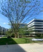 (出售) 閔行全新地塊可生產(chǎn)研發(fā)辦公，50年獨(dú)立產(chǎn)權(quán)