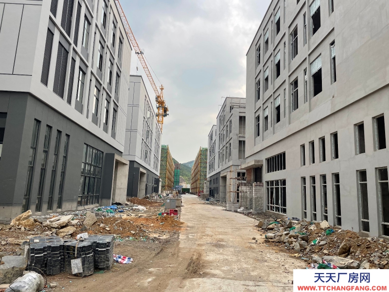 小面積獨棟送露臺花園，高速口，首付最低僅100萬