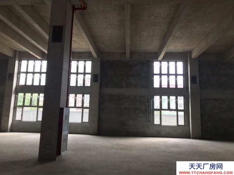 桐廬獨(dú)棟雙拼工業(yè)廠房準(zhǔn)現(xiàn)房年底交付