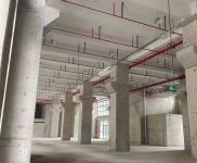 (出售) 寶山享受補貼1000萬，獨棟地鐵口，人車分流， 美蘭湖旁