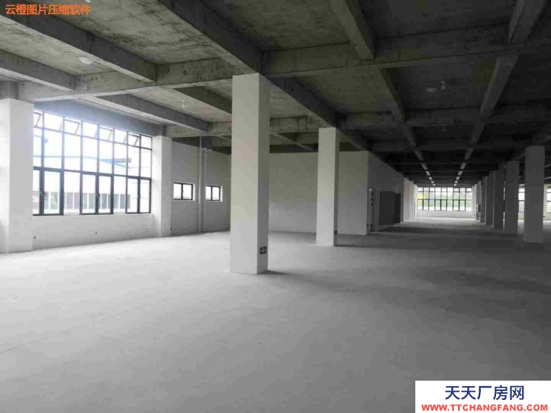 花園式獨棟廠房，利用率高，環境好，適合電子信息，新能源等產業