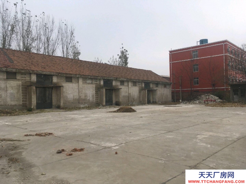 聊城陽(yáng)谷獨(dú)院有兩千平米廠房有空地