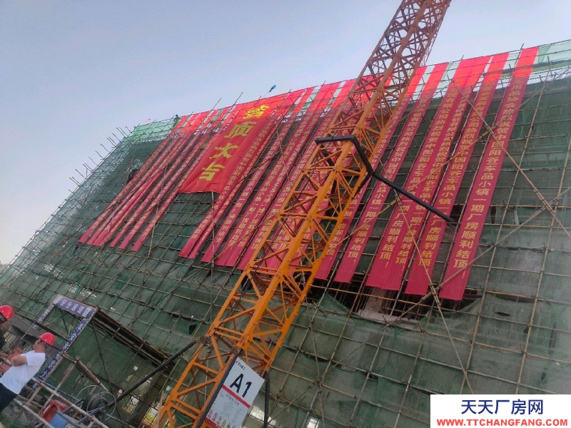 聊城陽(yáng)谷300-5000平現(xiàn)代化企業(yè)廠房倉(cāng)庫(kù)冷庫(kù)出售