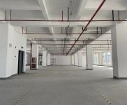 (出租) 浦東臨港新片區(qū)先行啟動(dòng)區(qū) 生物醫(yī)藥 設(shè)備組裝 電商倉儲(chǔ)等