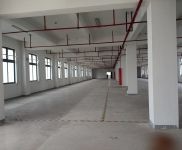 (出租)浦東 南匯104板塊 環(huán)境好 可環(huán)評 適合紙箱包裝 集成電路 電商