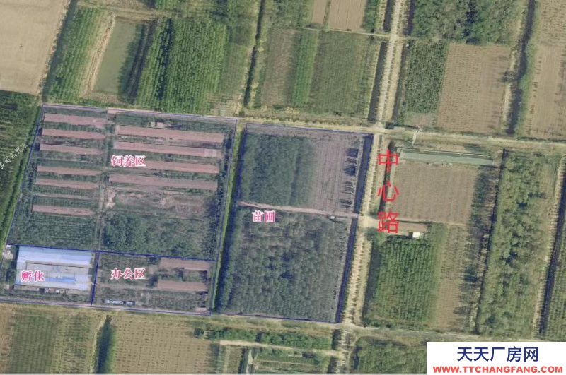 聊城茌平出售畜牧飼養(yǎng)場和孵化場