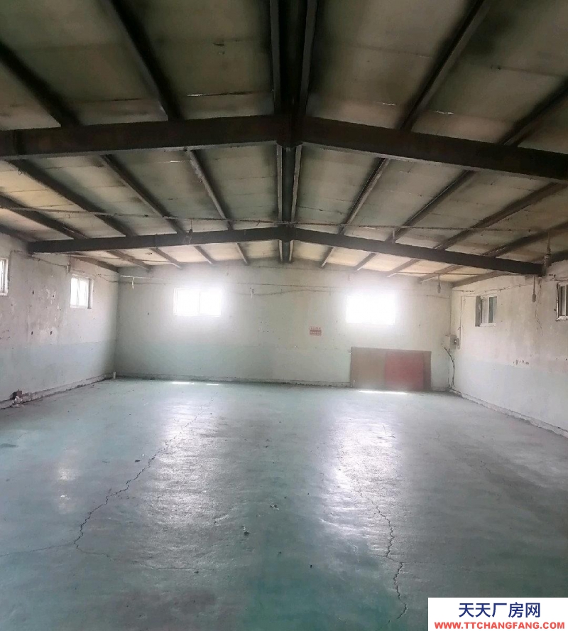 聊城冠縣靠大路 距離高速公路口10公里 水電齊全 四周圍墻安全度高