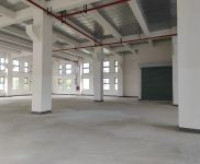 (出租)金山 亭林工業(yè)高質(zhì)廠房，104地塊可環(huán)評，適合對形象要求高的企業(yè)