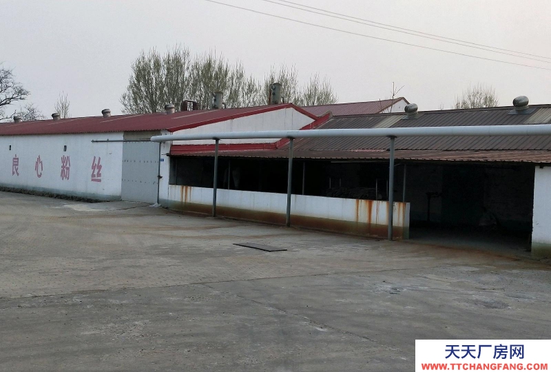 秦皇島 昌黎 庫(kù)房面積1000平,辦公樓400平