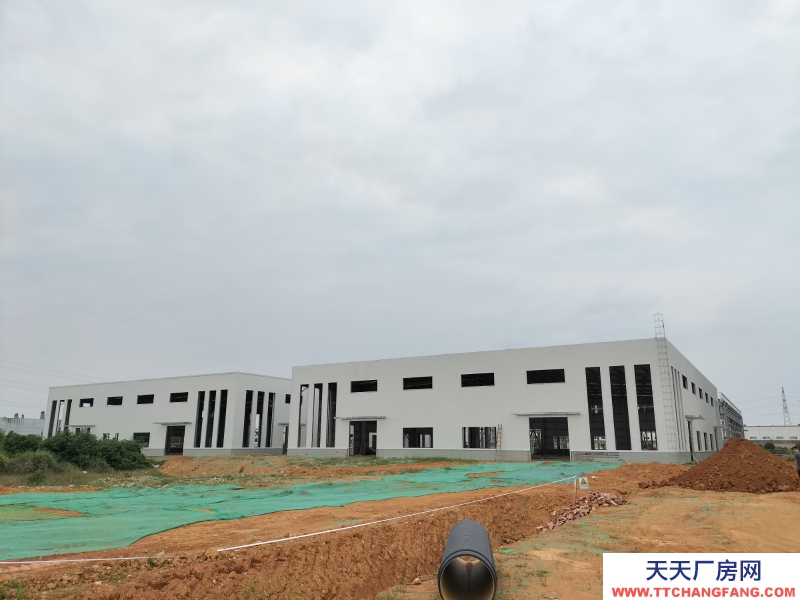 945㎡起售 單層鋼構廠房 獨門獨戶 三類工業用地行業不限