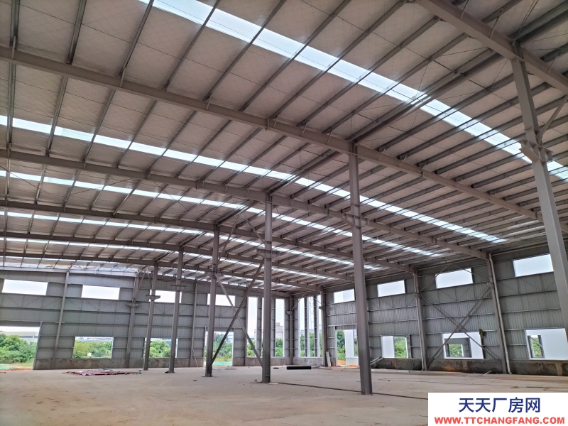 945㎡起售 單層鋼構廠房 獨門獨戶 三類工業用地行業不限