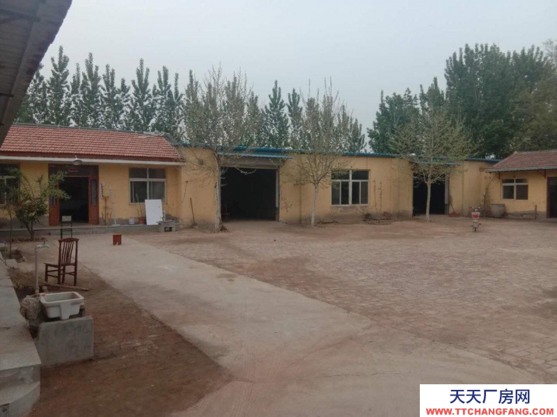 聊城臨清大辛莊街道 董莊村 倉庫 1600平米