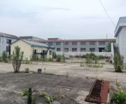 (出售)奉賢 莊行198板塊，占地26.5畝，價格4000個W，可以翻新重