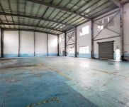 (出售) 奉賢金匯鎮獨棟廠房出售，單層11米，50年產權