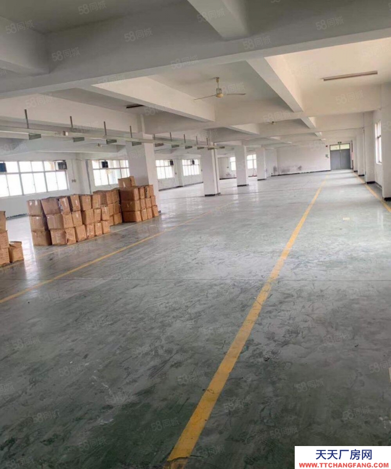 溫州樂清(出售) 全新廠房 甌江口小微園 2300平 3800平獨棟 直過戶