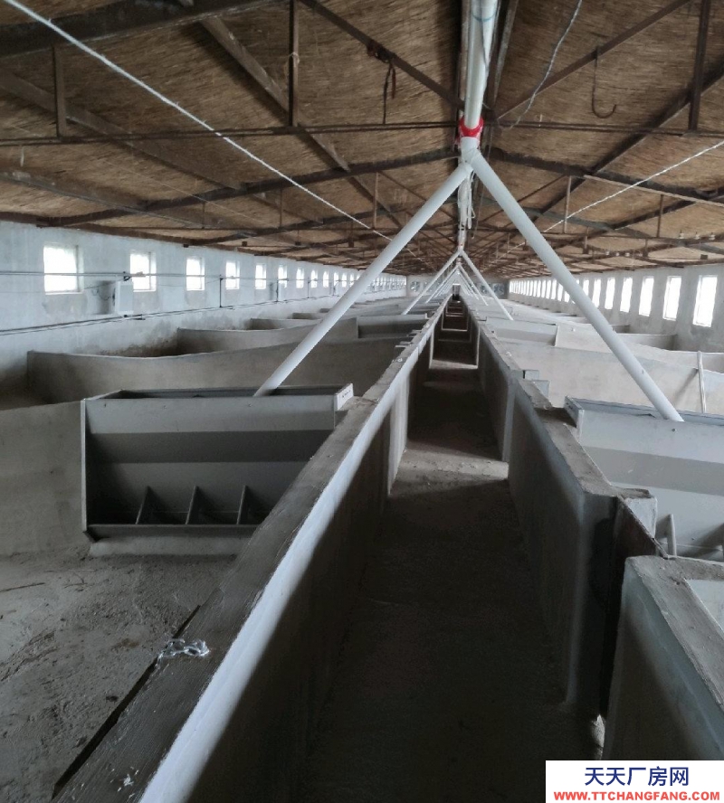 威海榮成價格面議，還有超大空地，空廠房