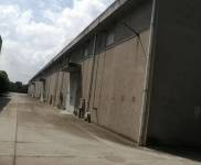 (出租)崇明 大型倉庫，價(jià)格可面議。