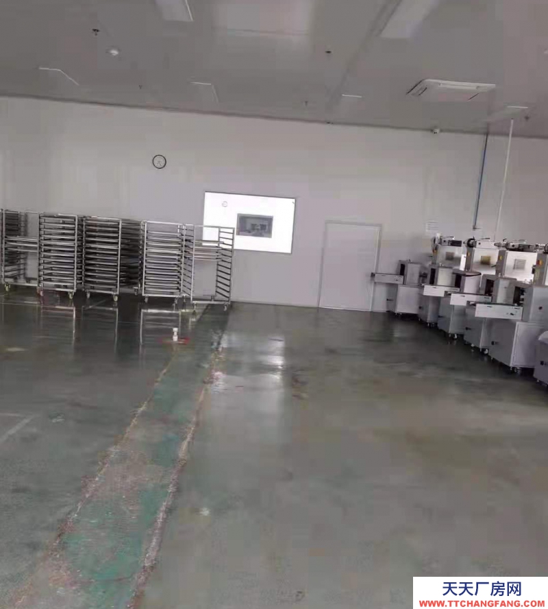 威海乳山精裝修餅干糕點車間，價格面議