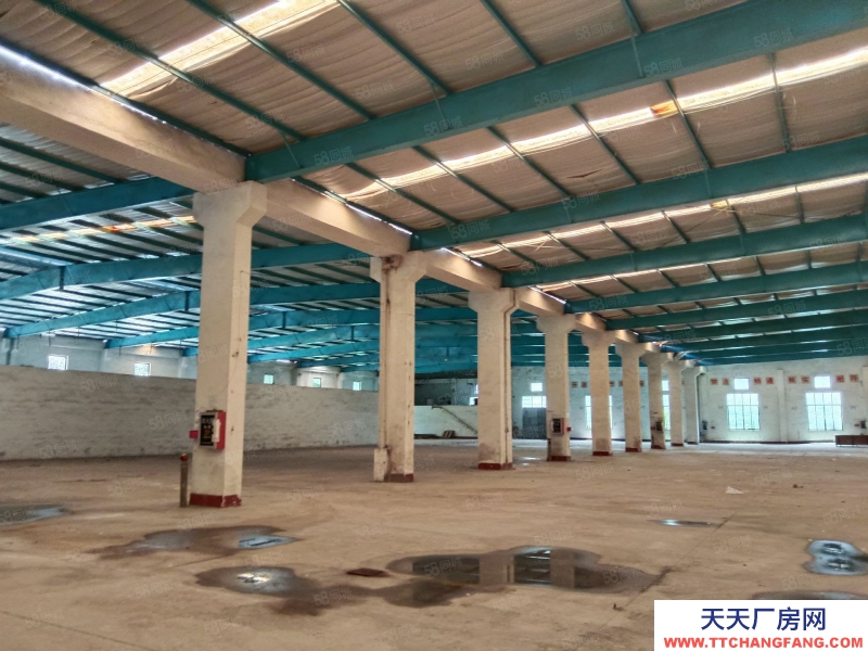 (出租) 清遠清新市中心,大路邊,單層廠房,磚混結構,方正實用