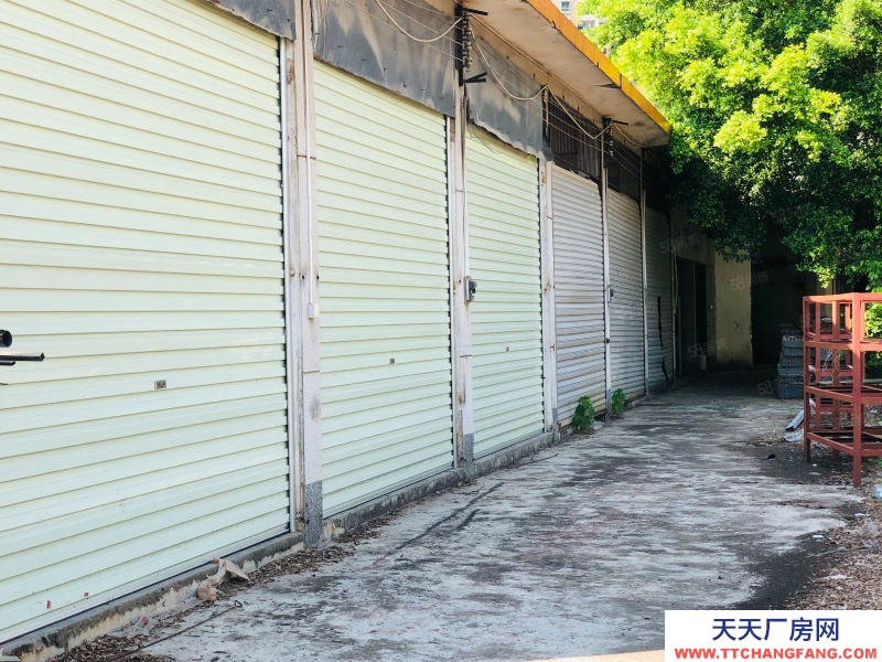 (出租) 清遠市區，獨門獨院，單層廠房，4500方僅2.5萬