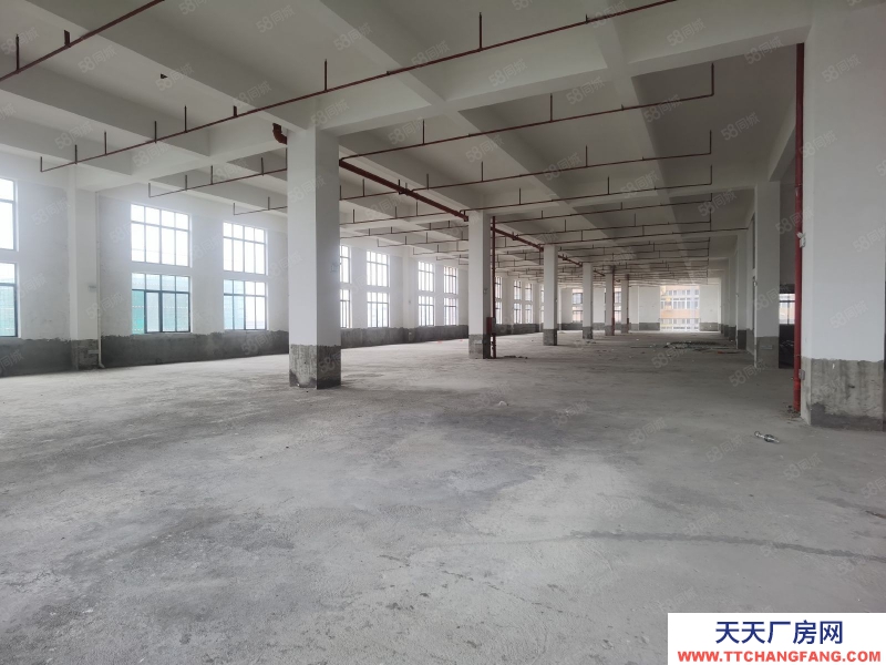 (出租) 清遠市清新區太平鎮電渡 電泳 退渡工業園廠房出租 有電渡環評