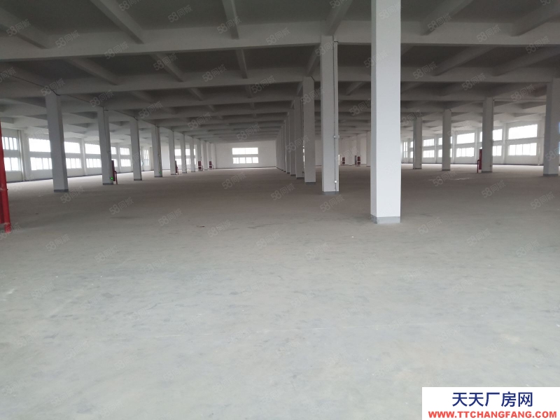 嘉興秀洲(出租) 水果建材市場附近500至10000平廠房倉庫出租