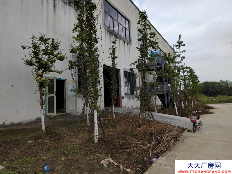 成都周邊標(biāo)準(zhǔn)廠房出租32000平米（可分租）