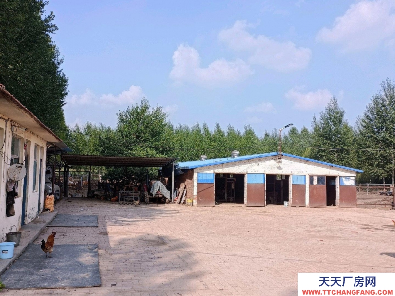 (出租) 養(yǎng)殖場(chǎng)在榆社縣和平村。養(yǎng)殖業(yè)優(yōu)選，方便養(yǎng)殖牛羊