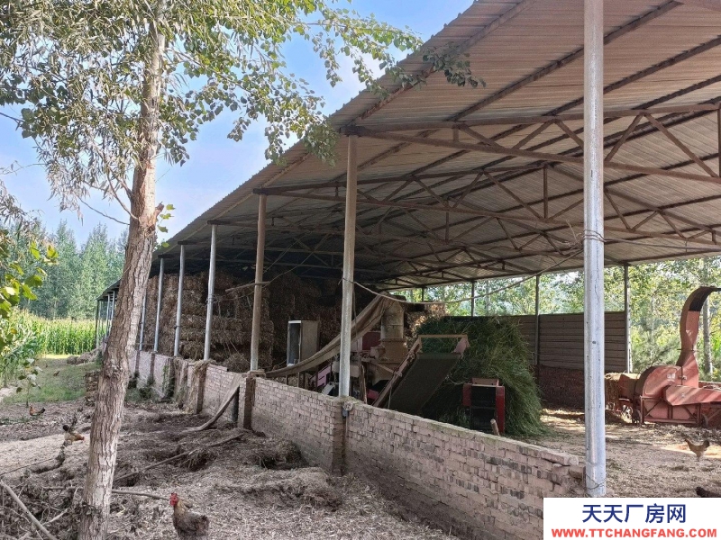 (出租) 養(yǎng)殖場(chǎng)在榆社縣和平村。養(yǎng)殖業(yè)優(yōu)選，方便養(yǎng)殖牛羊