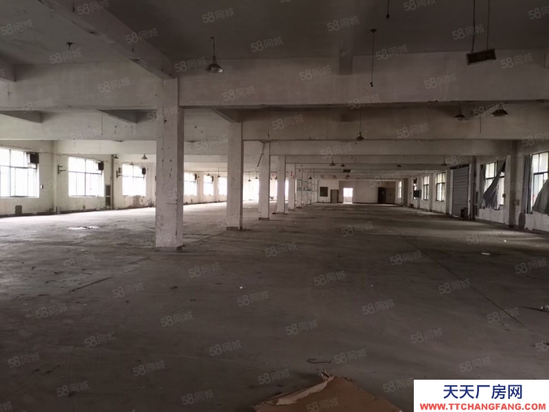 嘉興秀洲(出租) 高照街道 底樓500平 可做各類倉(cāng)儲(chǔ) 小生產(chǎn) 門口好停車