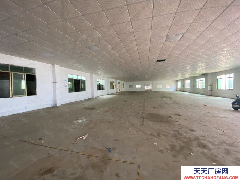 (出租) 清遠佛岡縣城 獨院廠房 共4300方 可分租 帶有辦公樓 飯?zhí)?><span id=