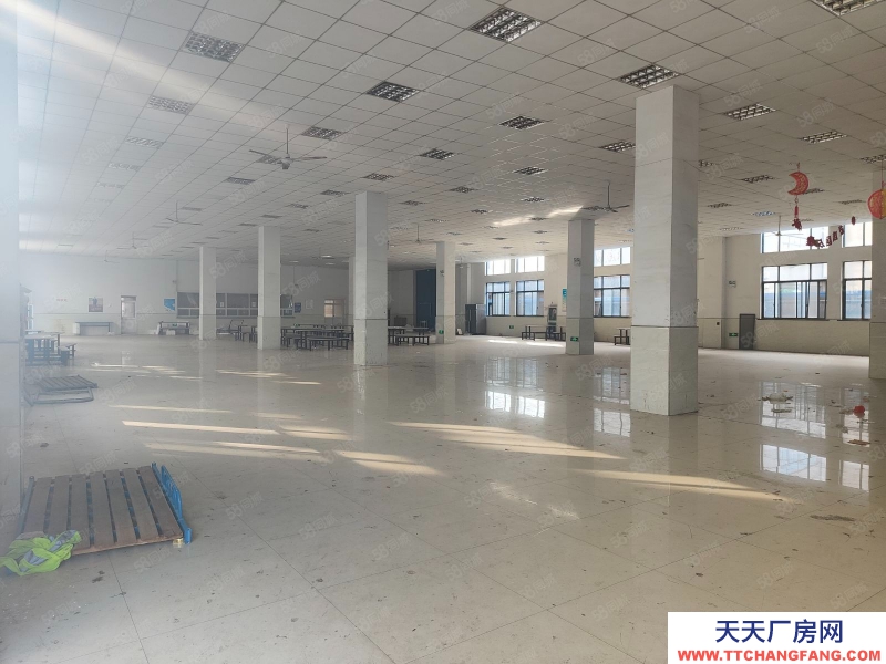 嘉興秀洲(出售) 經(jīng)開區(qū)獨(dú)院廠房出售12000萬(wàn)，看房方便