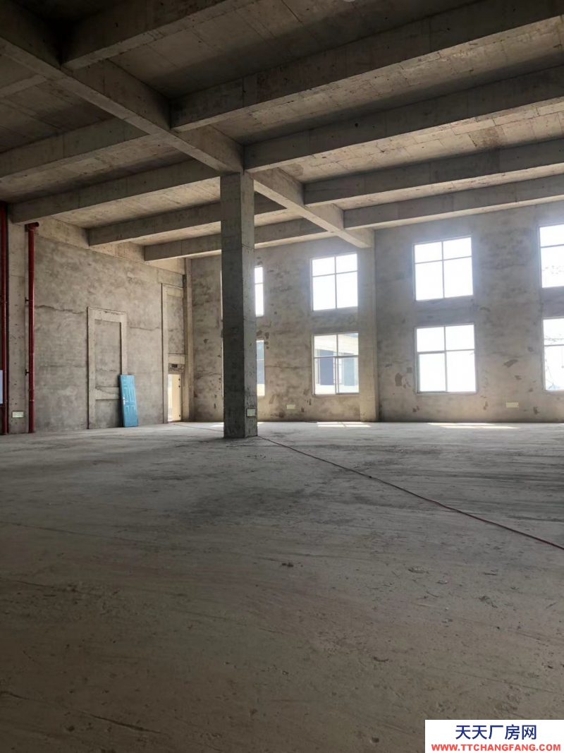 蔡家現房標準廠房/輕軌近公交旁物流園旁/所見即所得/買來即可用