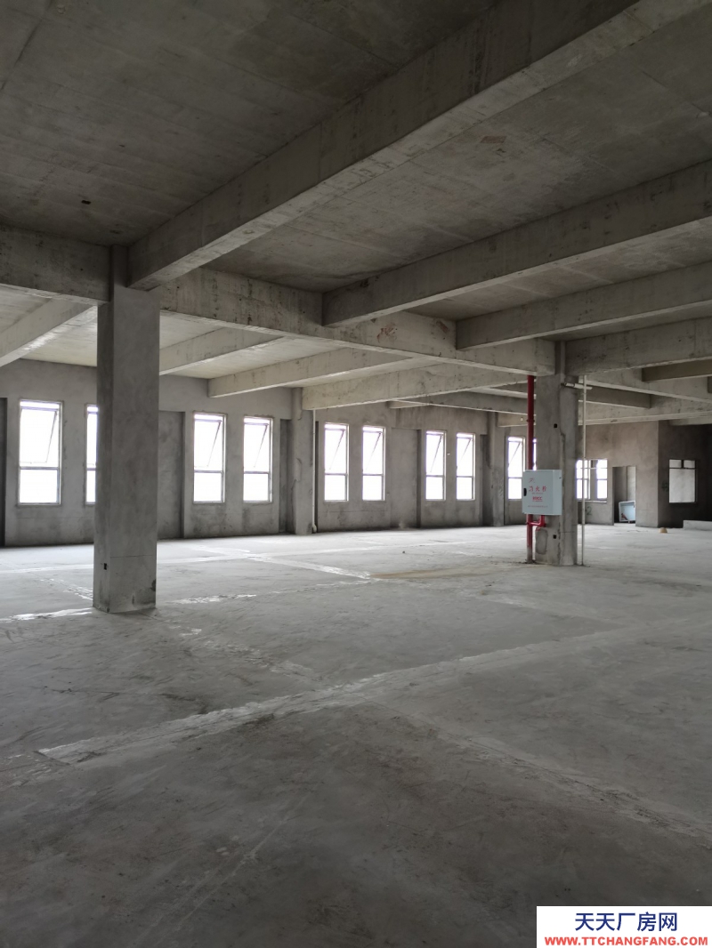 蔡家現(xiàn)房標(biāo)準(zhǔn)廠房/輕軌近公交旁物流園旁/買(mǎi)來(lái)即可用