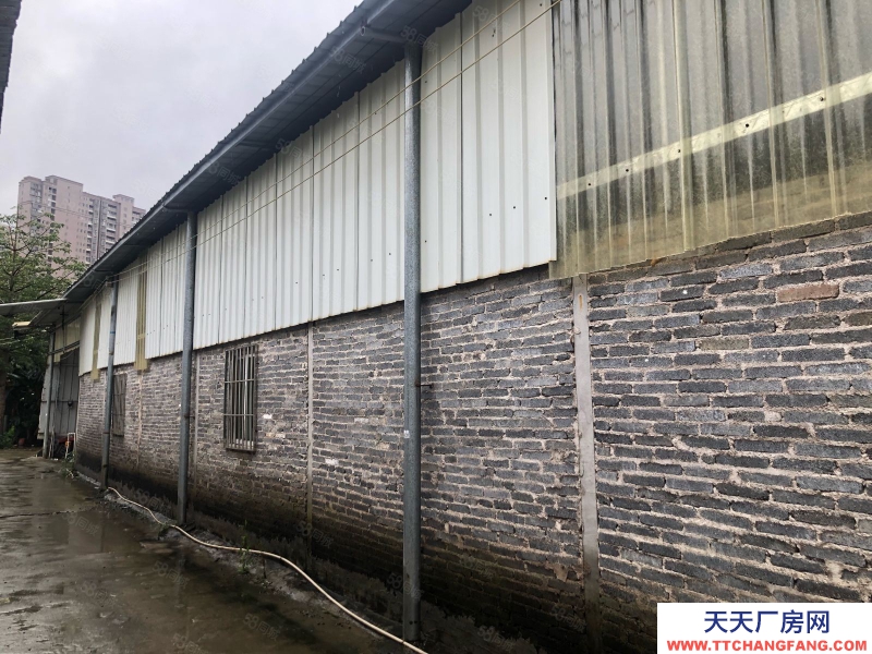 (出租) 清遠英德市市區倉庫出租800方三箱電