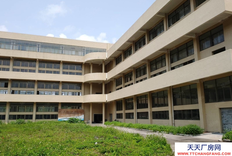 (出租) 肇慶端州城區(qū)標(biāo)準(zhǔn)水泥結(jié)構(gòu)廠房招租