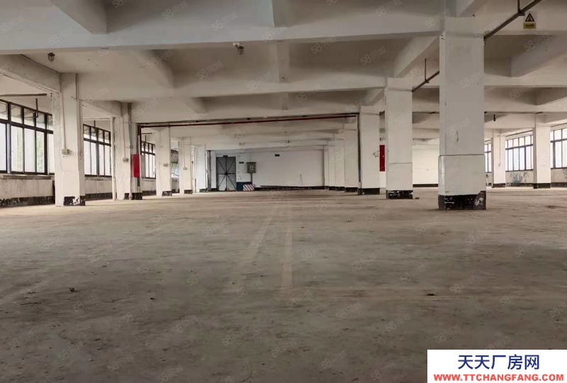 (出租) 肇慶端州特價(jià)廠房10元端州區(qū)睦崗大洲獨(dú)院廠房吉地招租