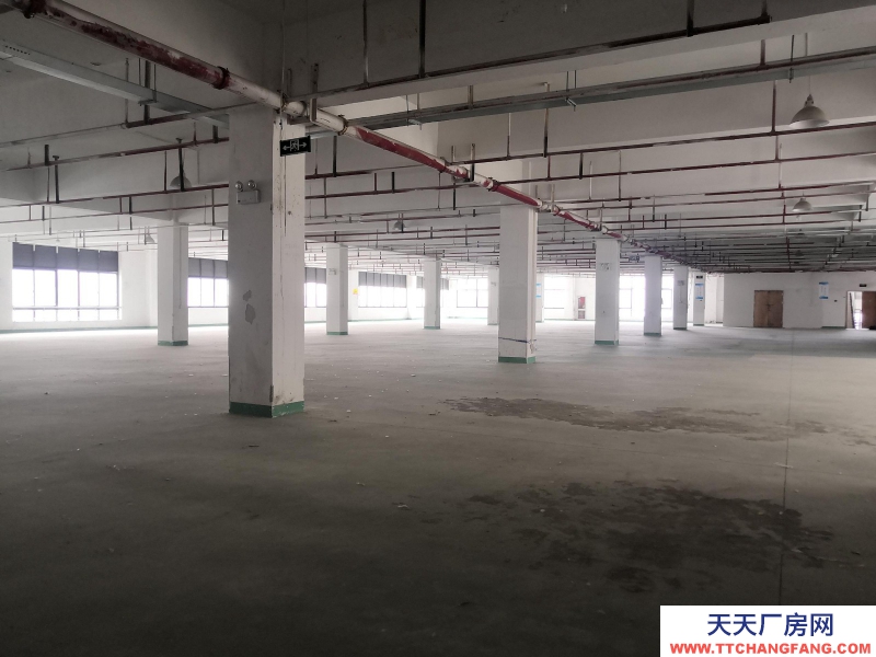 織里整層廠房出租1846平方，有電梯，適合童裝生產加工。