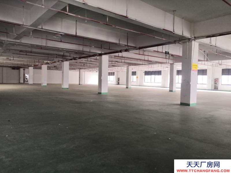 織里整層廠房出租1846平方，有電梯，適合童裝生產加工。