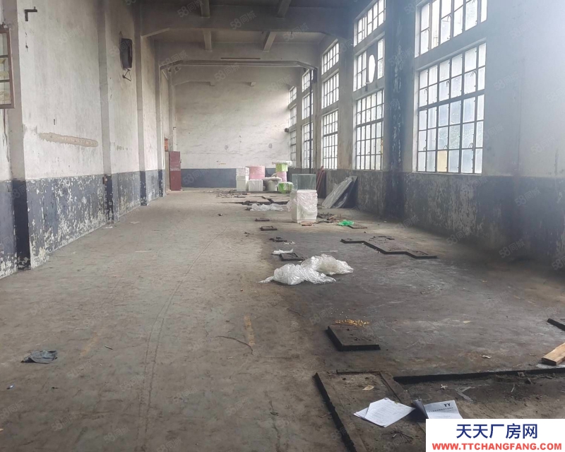 嘉興嘉善(出租) 嘉善周邊上海楓涇園區(qū)新出廠房6000平高7米電大適合各個行業(yè)