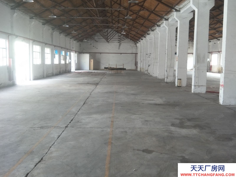 嘉興嘉善(出租) 商城附近800平標(biāo)準(zhǔn)廠房出租，大車可進(jìn)，交通便利，合同長簽