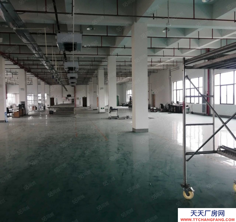 嘉興嘉善(出售) 姚莊工業(yè)區(qū)新出13畝標(biāo)準(zhǔn)廠房出售中