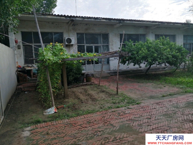 德州樂陵六畝獨院清凈，可作工廠，也可以作倉儲。